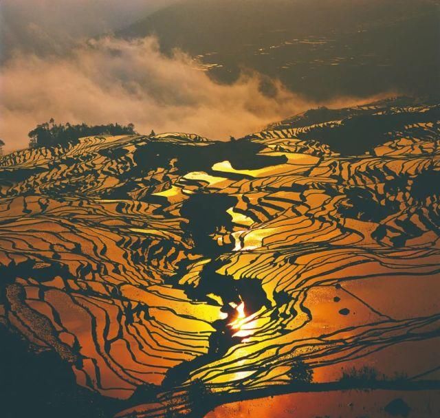 生长|云之南，一个生生不息、万物生长的地方