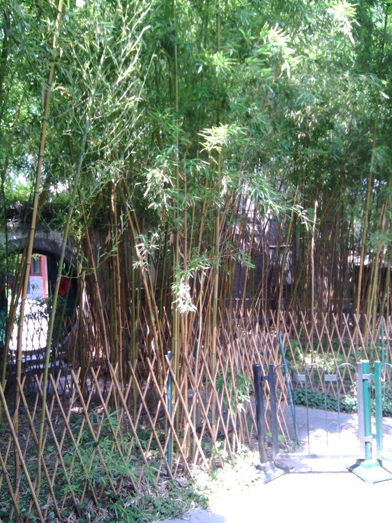 合集|周末一天逛逛吃吃合集!