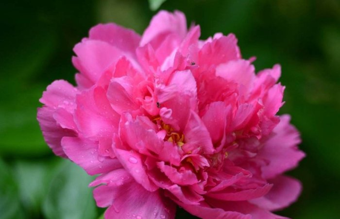  月底|8月底“财运爆棚”，贵人恩宠，家财满堂红的3生肖！