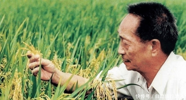 国家做出|袁隆平有个特权,全球只有两个人拥有,另一个是英国女王