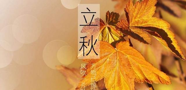  美容|小小桑葚干，秋后不用慌！美容安眠、身心舒畅健养起来