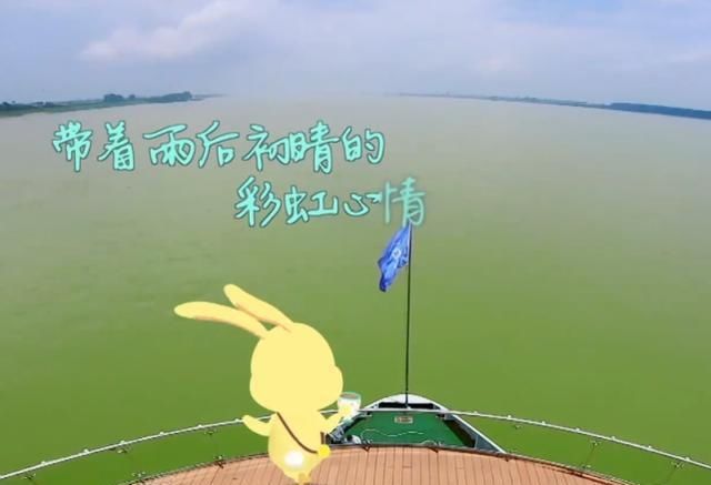  粉丝|中餐厅：赵丽颖一出镜身边就有兔子，得知真实含义，粉丝哭到哽咽