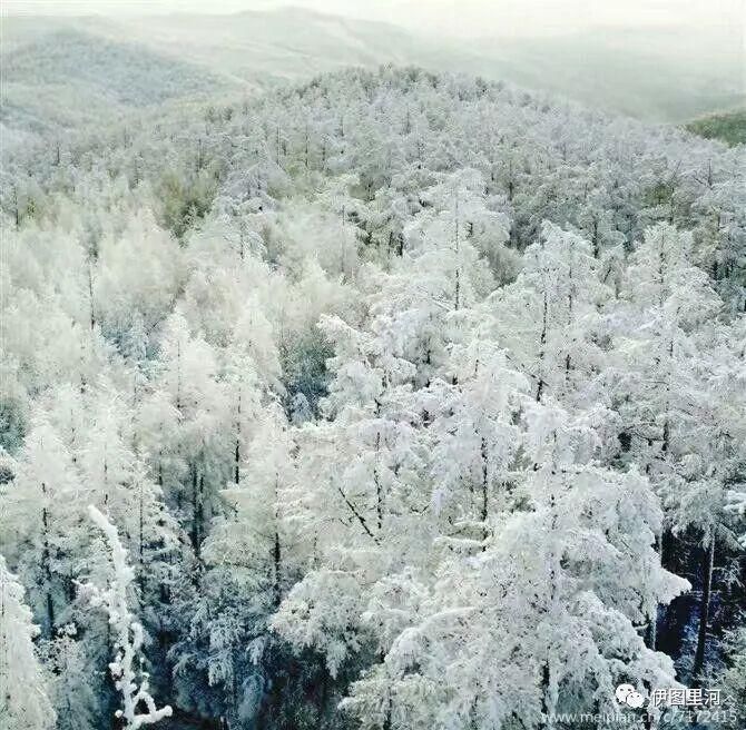  满归|大兴安岭满归，我的故乡……