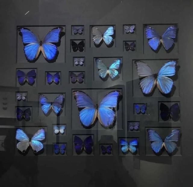 游戏|唯美的游戏昵称,情侣专用韵味十足!