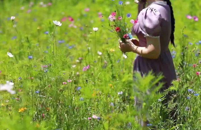  李子|她用3年时间爆改老宅，把荒地变花海：原来除了李子柒，我们还有另一种田园牧歌