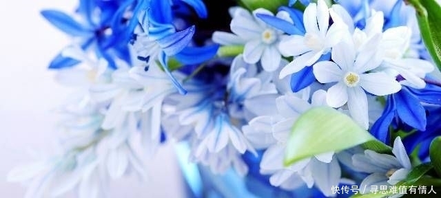 受益|简单朴素的名言,悲痛欲绝,使人终生受益