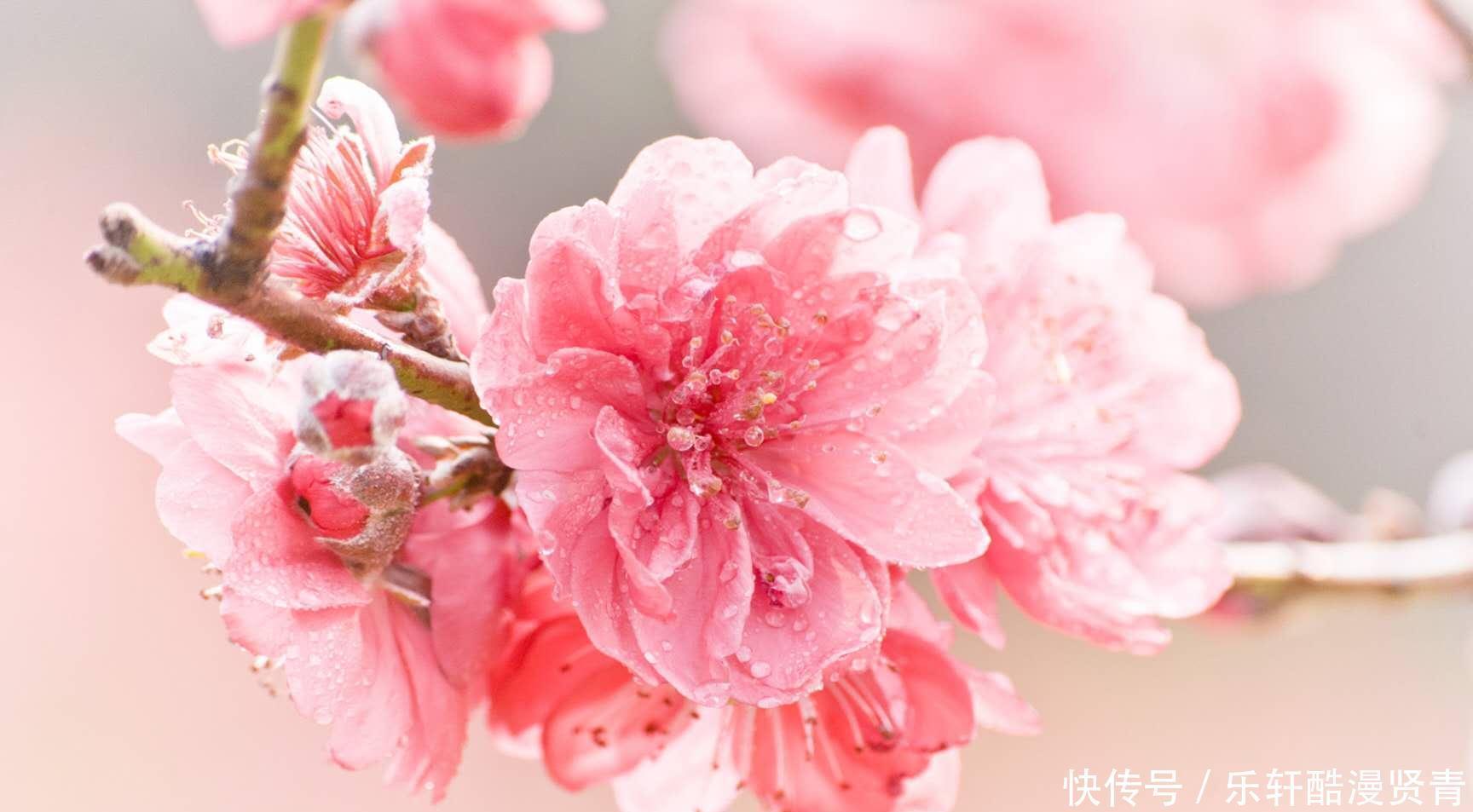 能力|未来一月财运翻身,贵人辅佐,有能力做事,赚钱多多的3生肖