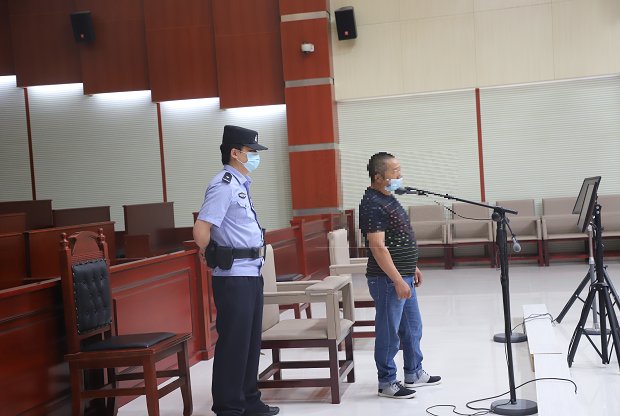  羊儿|湖北五峰：非法猎捕杀害野生“蒿羊儿”、“青麂”开庭！