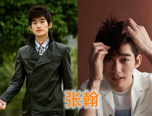 女王|“流星雨”演员现状,郑爽话题女王,魏晨双丰收,唯独他被人遗忘