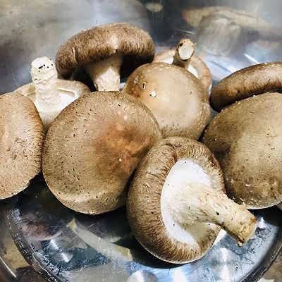  2勺|香菇焖肉酱