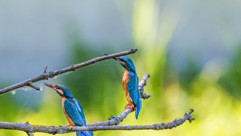 得失|感情中随心所欲,不计较得失,只向往真爱的4大星座