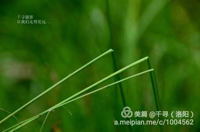  甘南|甘南，穿行在213国道上的雪月风华