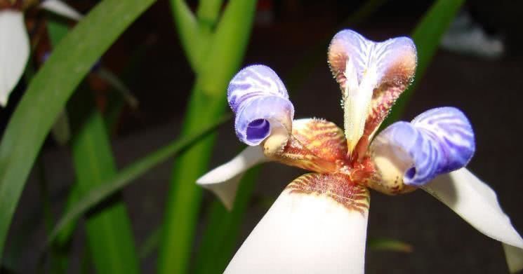  霉运|8月开始事业稳步上升，霉运散尽，富贵近身的四大属相