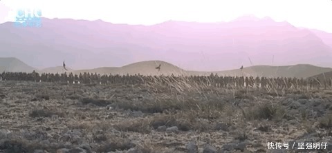  阿凡达|24年前，宁静拍过一部「阿凡达」