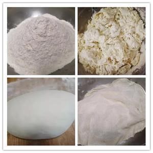 香菇|头伏饺子二伏面 饺子已出锅 防暑又解馋~营养又美味