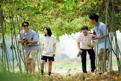  未能|谢娜“身在曹营心在汉”，虽然未能加入《浪姐》，但造型暴露心思