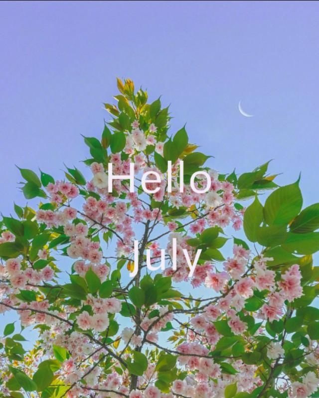  清新|清新风景背景图|Hello July下半年一切顺利