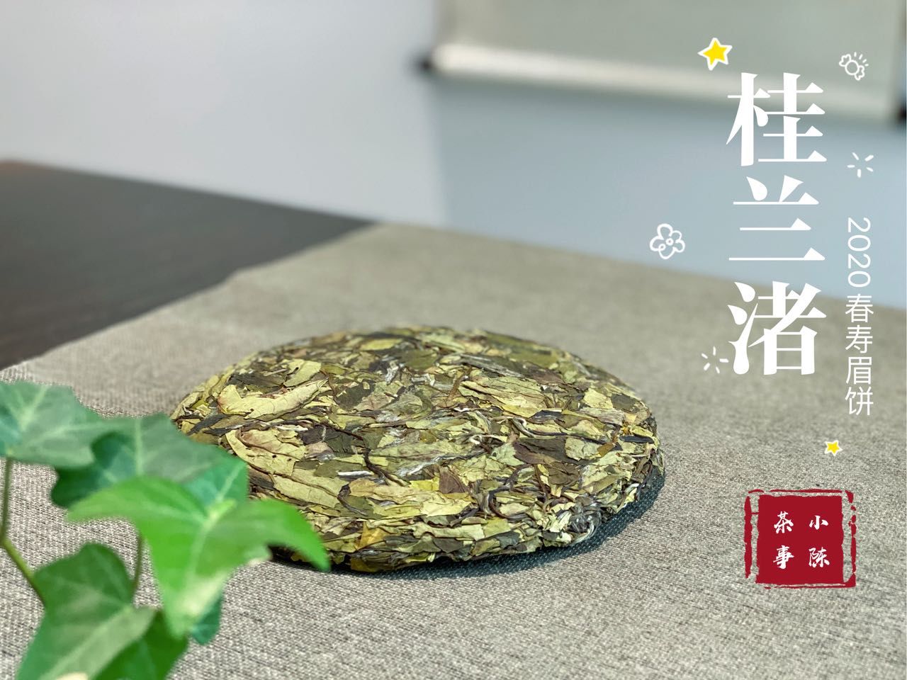 绿色|重金买回来的茶饼，是春寿眉还是白牡丹？懂行的人只看4点就够了