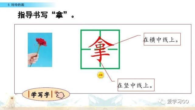 玲玲|部编版二年级上册第5课《玲玲的画》图文讲解