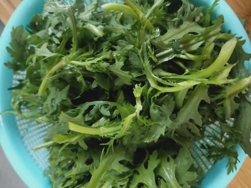  皇帝|进入三伏天，这道“皇帝菜”不要错过，蒸一蒸清香脆嫩，常吃开胃