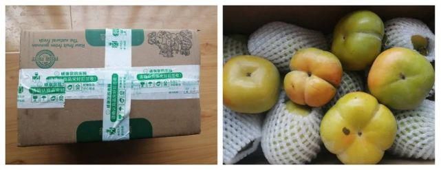 苹果|自带“冰糖心”的云南脆柿,爽似苹果,香甜不带涩