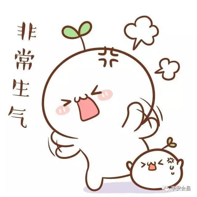  了看|广东两男子骑摩托去山东看海！经过会昌却变成了看“铁窗”...