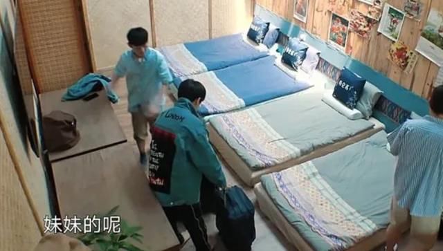  张子枫|《向往的生活》原来是学习综艺！张子枫同款备考法，顺利拿会计证