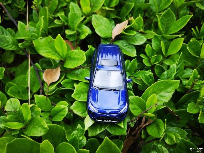 拍摄|拥有威兰达车模,绽放花丛中,说说感受