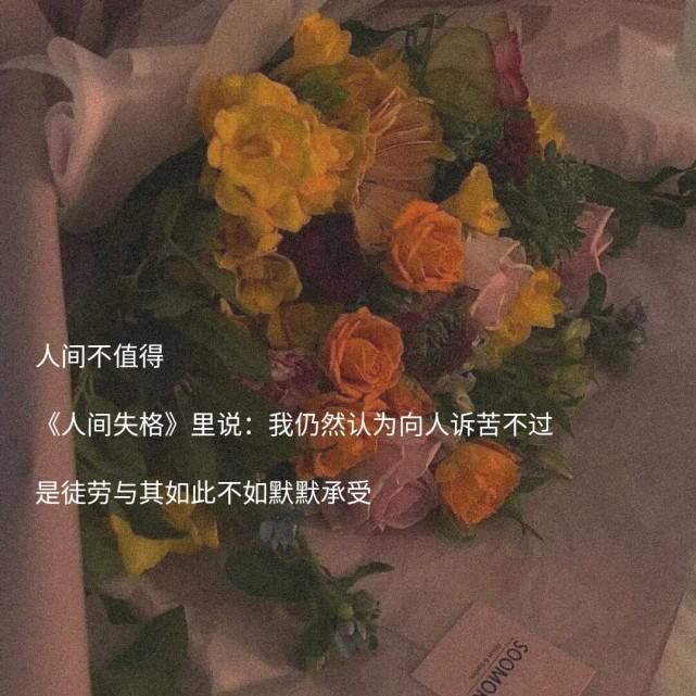  顺风|具有寓意的古风网名·小众文案:说不定随心所欲的生活更顺风顺水呢