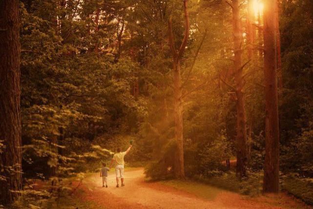 同情|儿子考235分,收到“清华录取通知书”:那个被骗的父亲,根本不值得同情