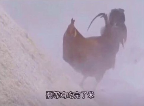 浪费|在日本餐厅吃不完要道歉：生而为人,我吃不下