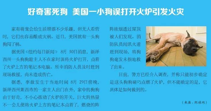  小狗|蒙城：这条小狗居然成了“纵火犯”