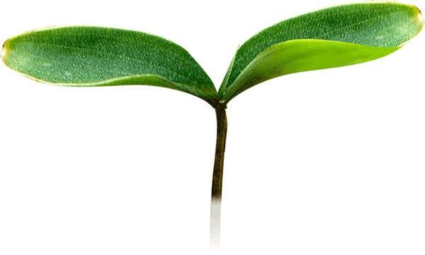 爱情|树洞 |暧昧上头的那几秒，像极了爱情。