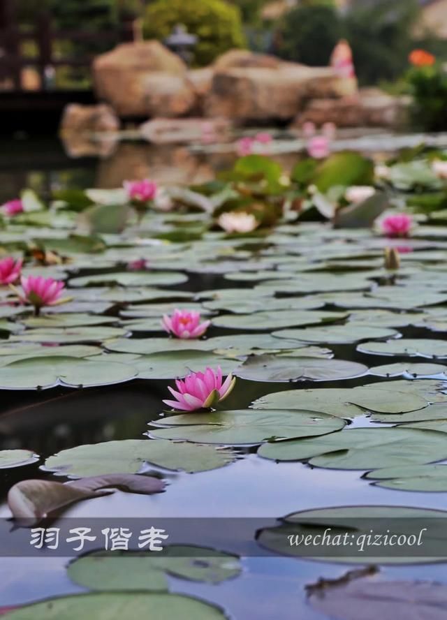 仙气|穿上汉服穿越时空，这个葛仙村果然有“仙气”