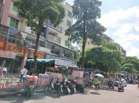 理应|【创文进行时】不回避,不遮丑!这些不文明现象理应整改