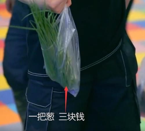  大厨|中餐厅厨师地位差距大？张亮买鱼养着玩，林大厨买5元的菜被询问