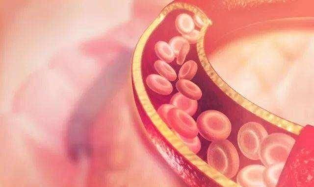 健康|用手摸一摸,就能知道血管健不健康?40岁开始做6件事,保养血管