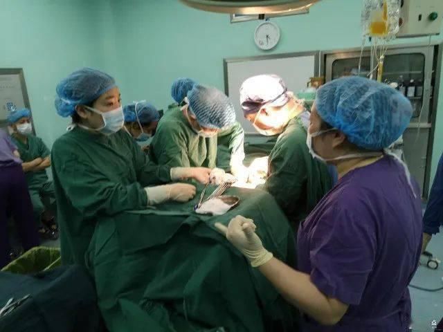  模式|从“死神”手里抢时间！这个协作模式抢救严重创伤患者，救治成功率更高了