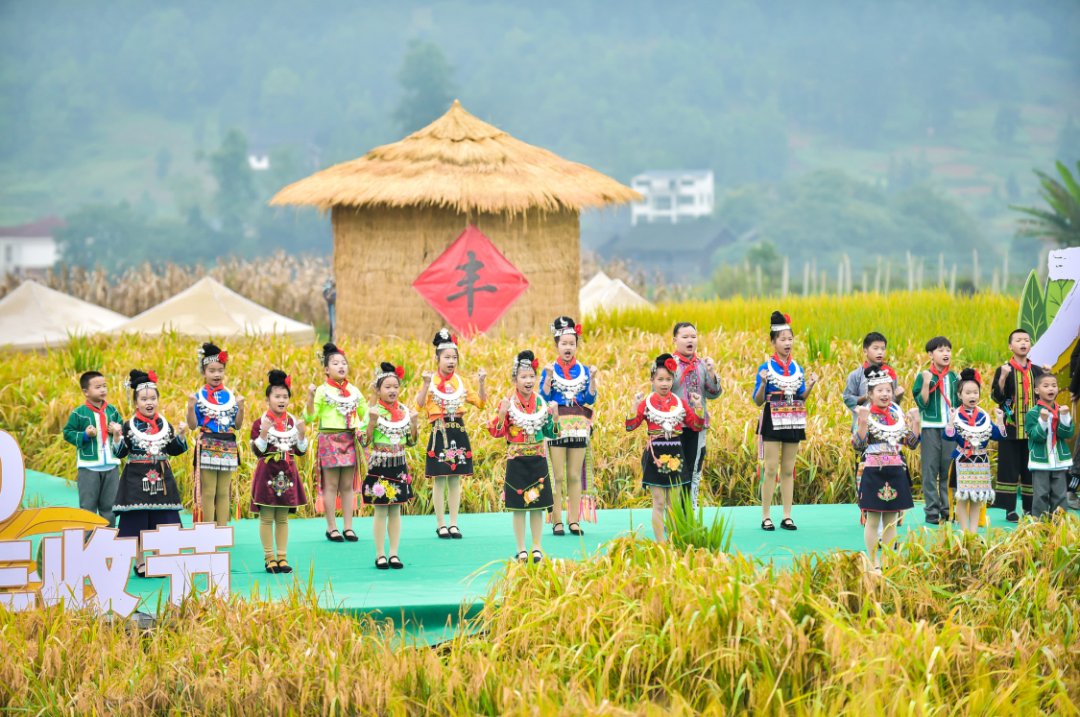 声音|假如丰收有声音，一定是这样婶儿的