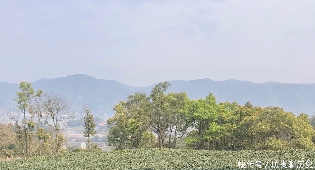 喝茶|为何说喝茶能陶冶情操?