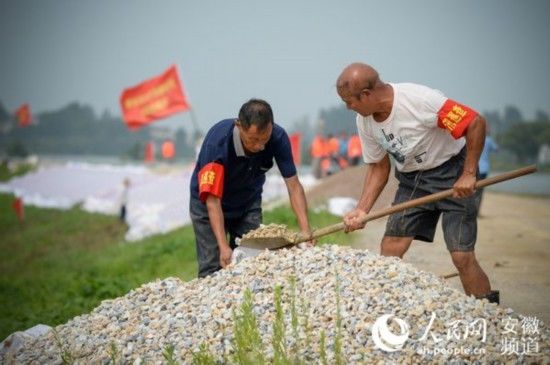 东方红|安庆一线直击：东方红圩，迎险而战