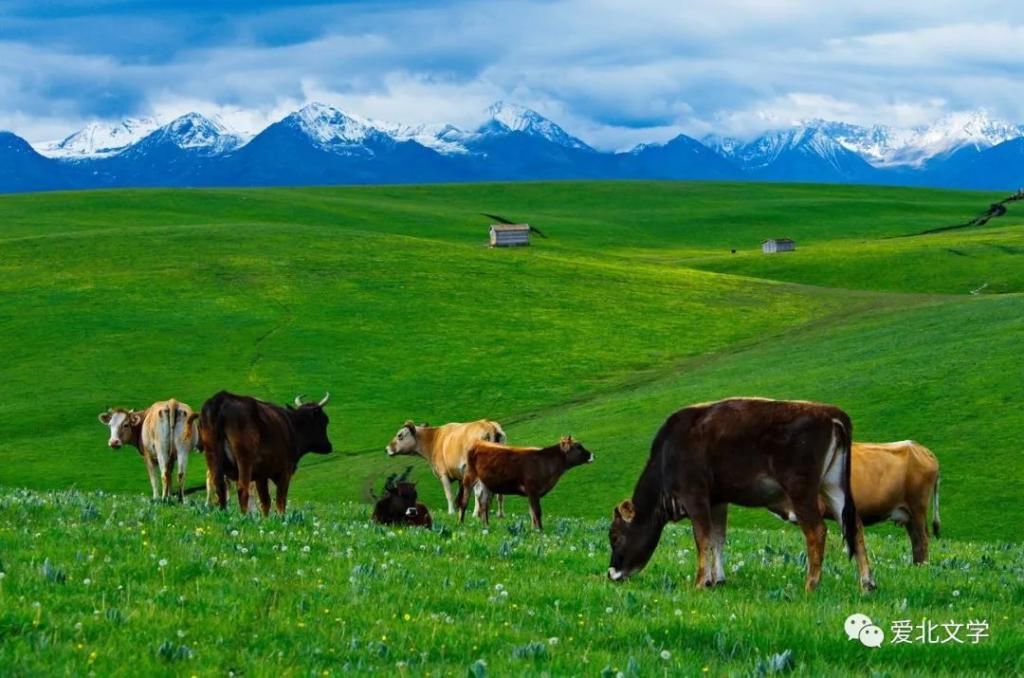 原创|原创丨记在新疆支教的日子