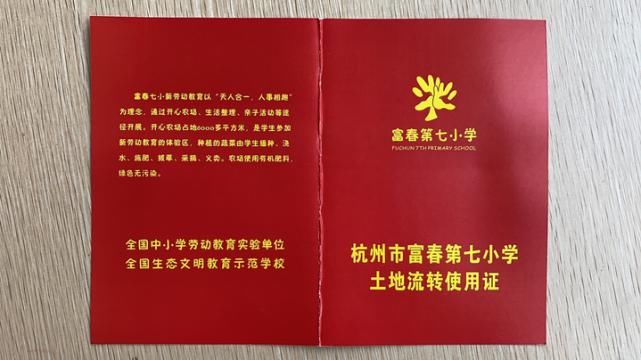  试验|一所小学的11年新劳动教育试验：每个班种两畦农田，从一粒稻谷的长成体味生命