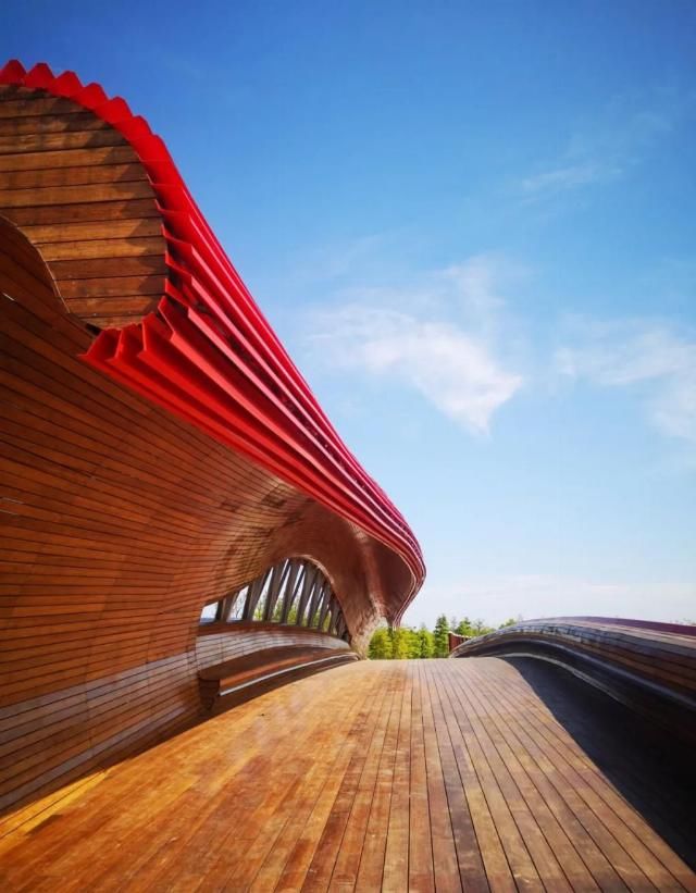  网红|【探索】滴水湖4座“网红”景观桥亮灯啦！快来先睹为快