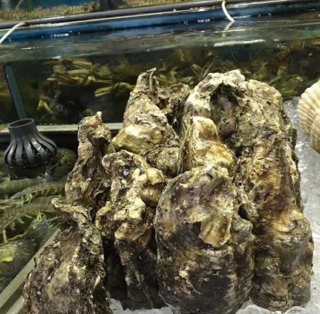 海鲜|世界上65种珍奇海鲜,贝爷都不敢说全部吃过,你吃过几种