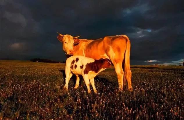  太行山|深远传奇的五千年山西“必游”之路