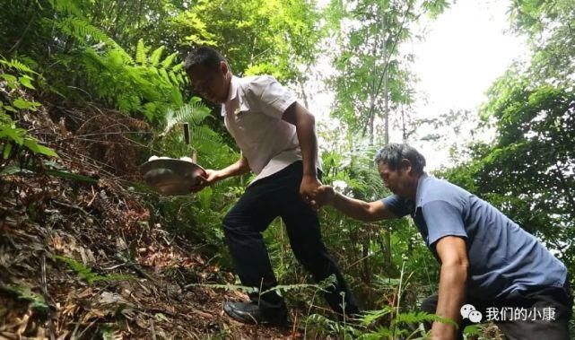  科大学第|让数据多跑路，患者少跑腿，这家医院是怎么做到的？