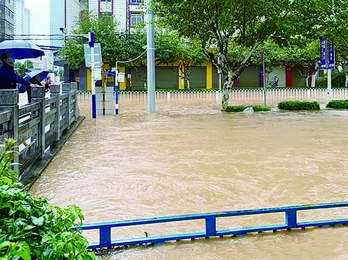  暴雨|暴雨来袭，全城行动