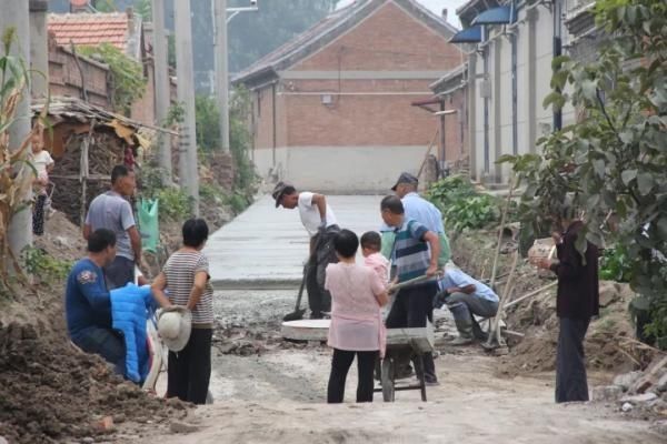  夏天|【津评乐】遇见夏天，醉美卜庄