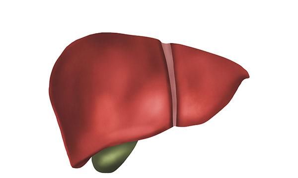  每家|每家都有的伤肝的食物，教你一些小妙招，轻松远离肝病！